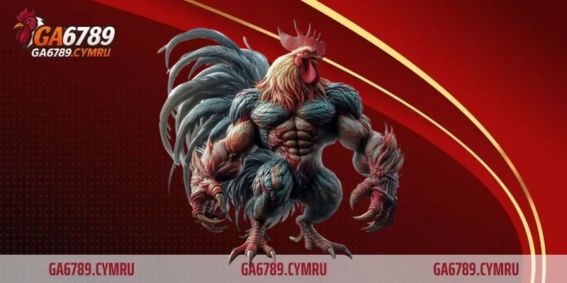 Tổng quan về gà chọi và gà lai