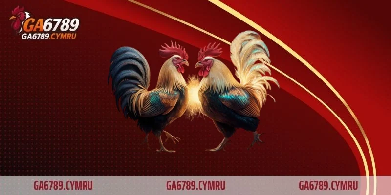 Gà chọi Nghệ An
