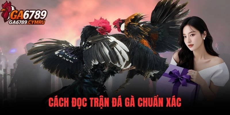 Cách đọc trận đá gà chuẩn sát